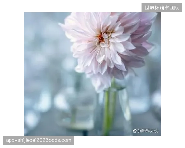 看似完善的应急预案，为何在真实突发事件面前常常显得力不从心？
